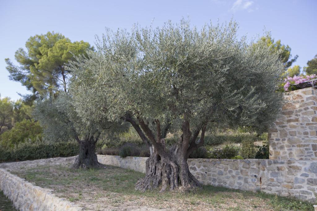 Mas Des Avelines Βίλα Le Brulat Εξωτερικό φωτογραφία